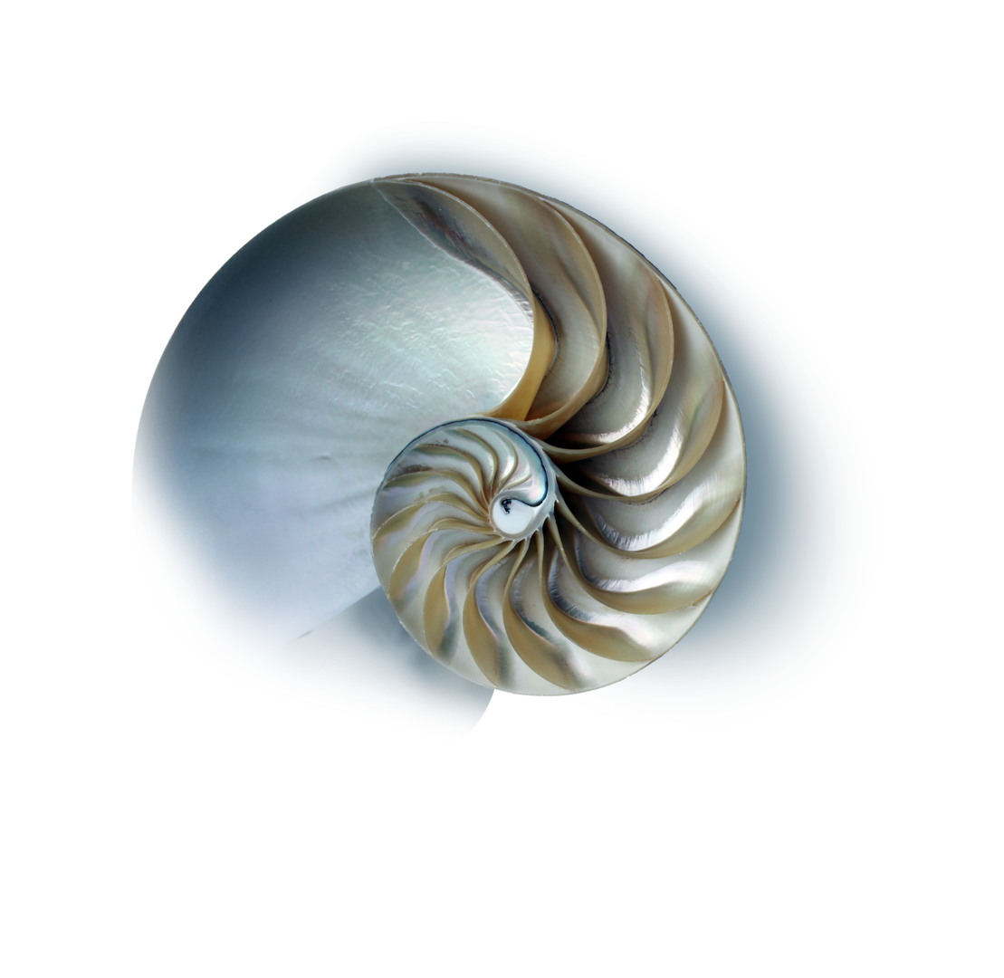 Hörgeräte Aumann NRW GmbH & Co. KG