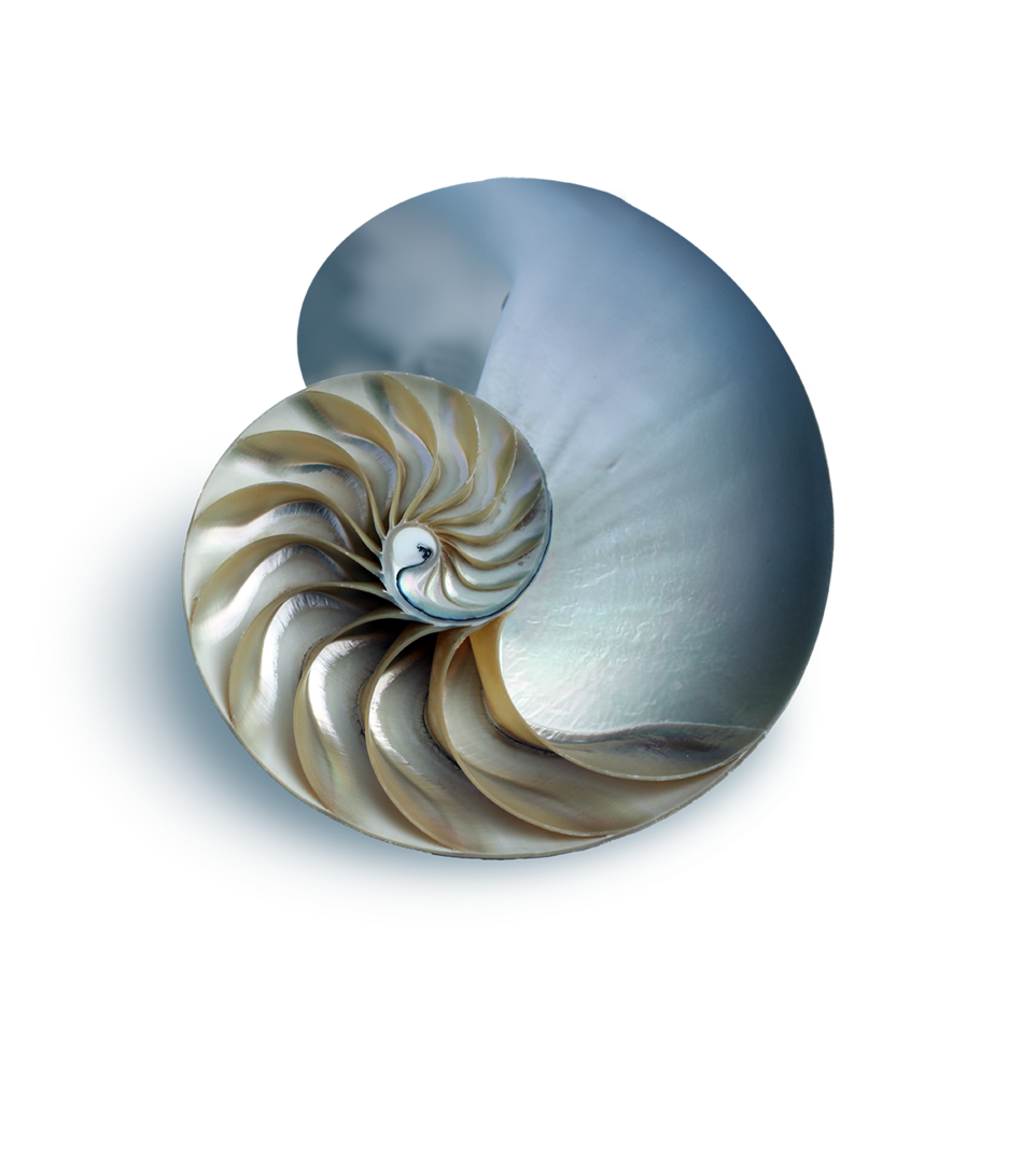 Hörgeräte Aumann NRW GmbH & Co. KG